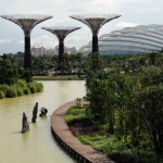 singapore-transform-environment-horizontal-gallery supertrees