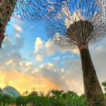 solar-powered supertrees